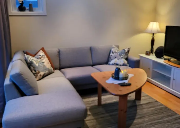 Askvegen Appartment
